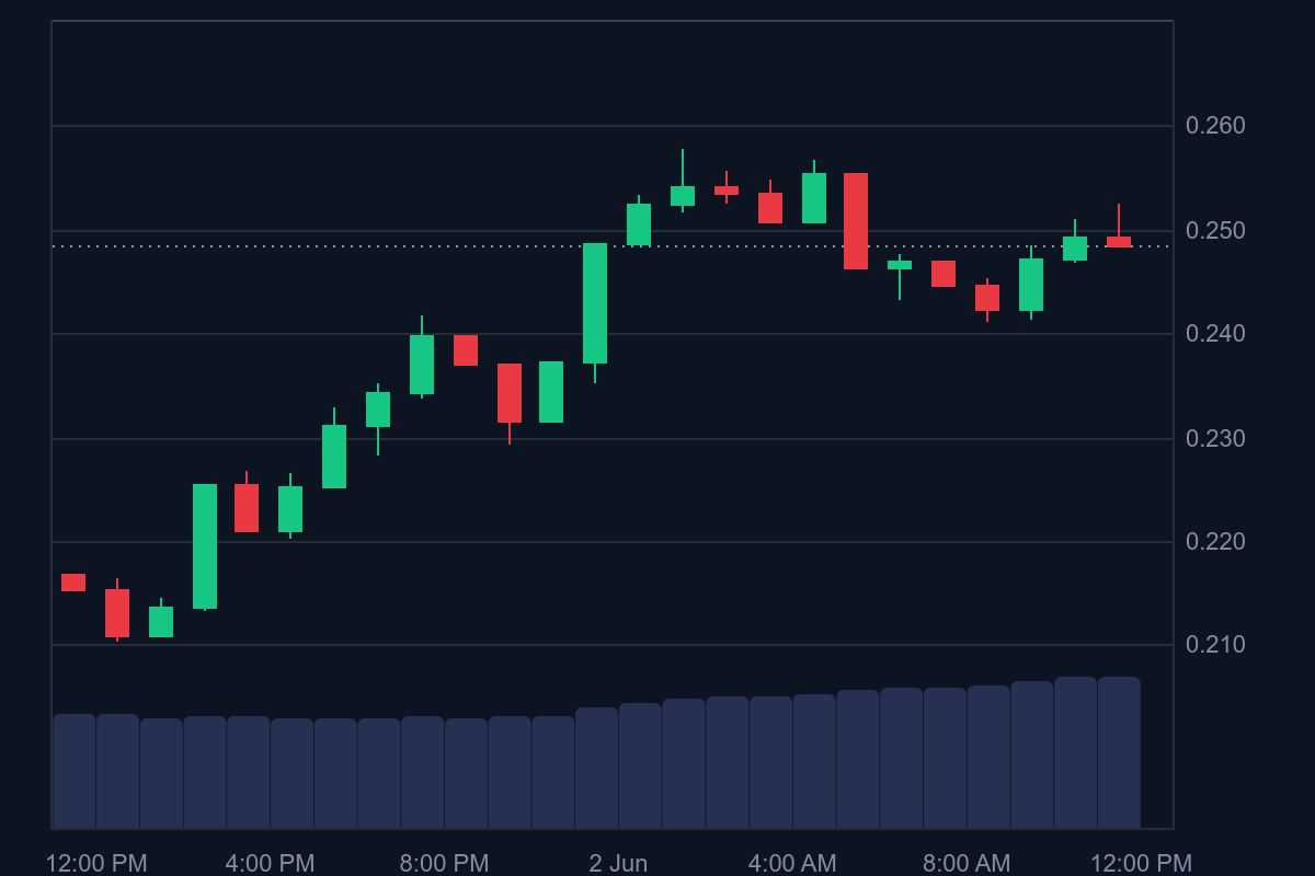 پامپ این میم کوینو باور نکن