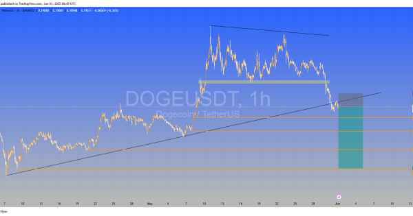 دوج کوین (DOGE)