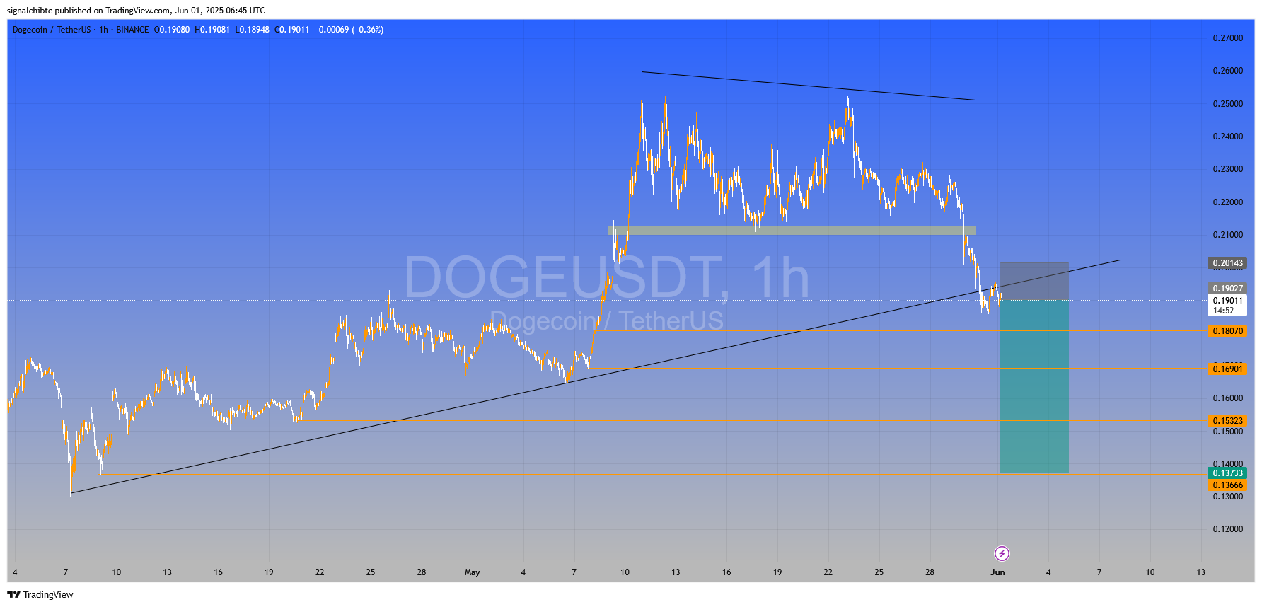 دوج کوین (DOGE)