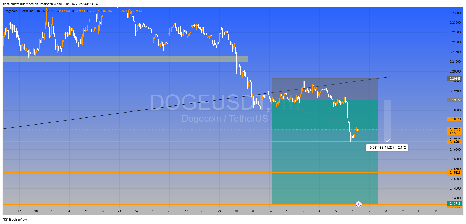 دوج کوین (DOGE)
