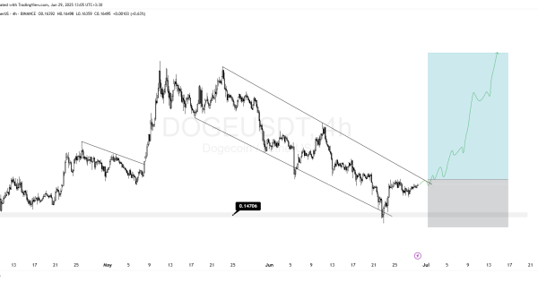 دوج کوین (DOGE)