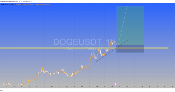 دوج کوین (DOGE)