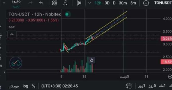 تون کوین