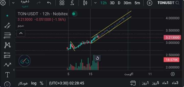 تون کوین