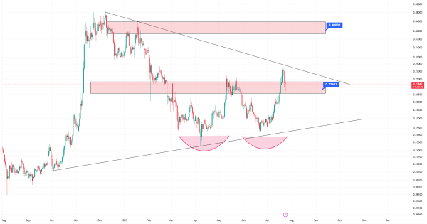 دوج کوین (DOGE)