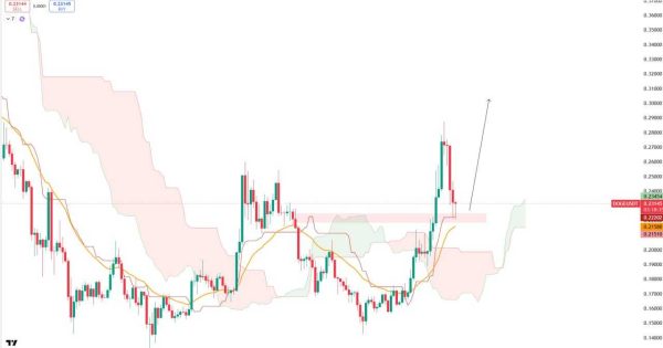 دوج کوین (DOGE)
