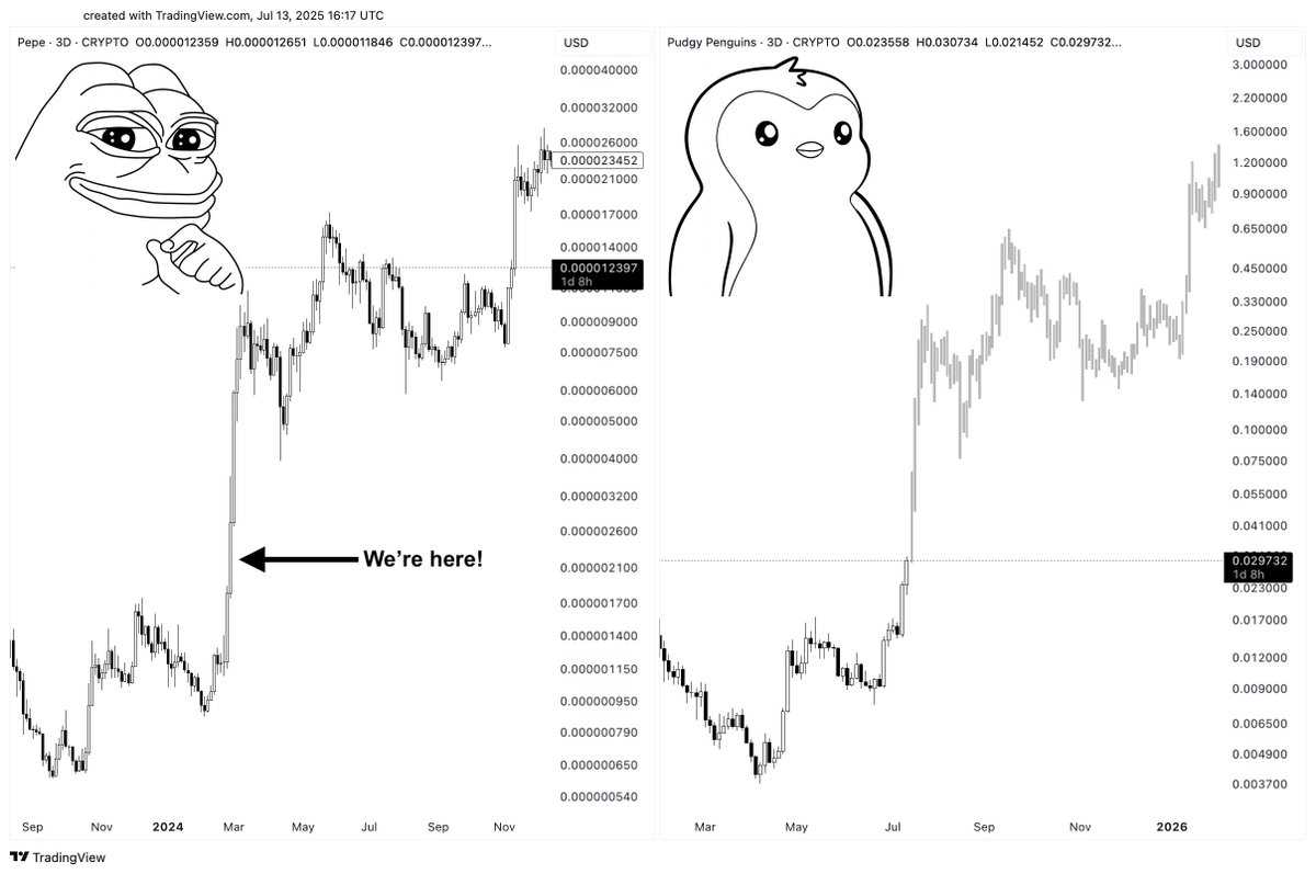 انفجار قیمت پنگو