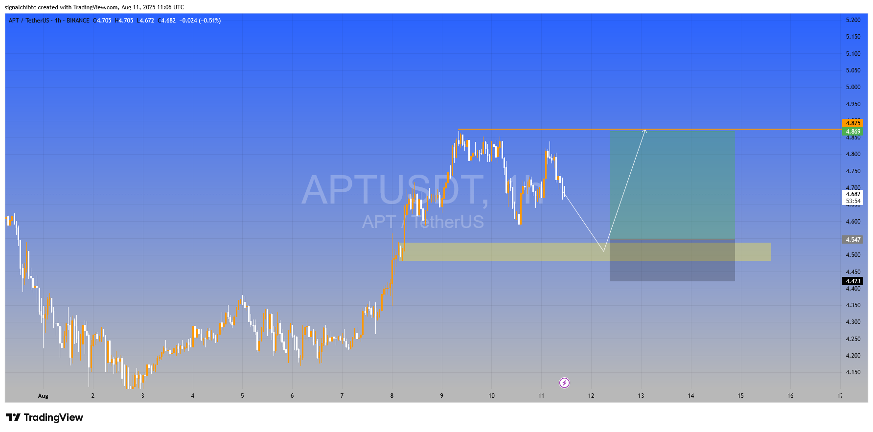 بهترین نقطه ورود APT