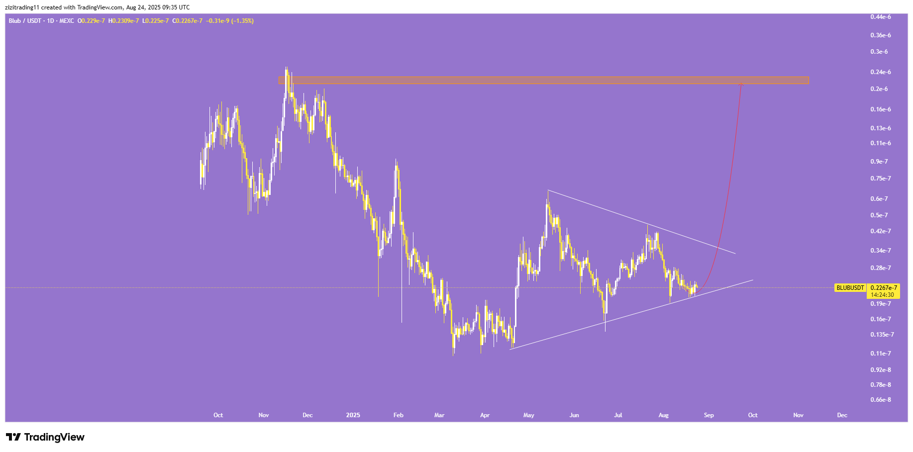 فرصت طلایی میم کوین sui