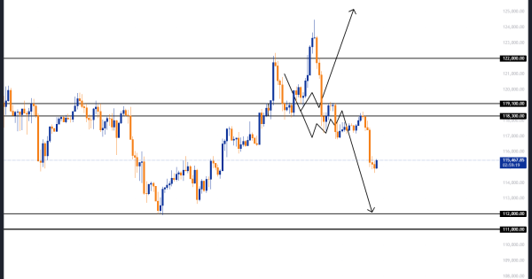 ورود حرفه‌ای‌