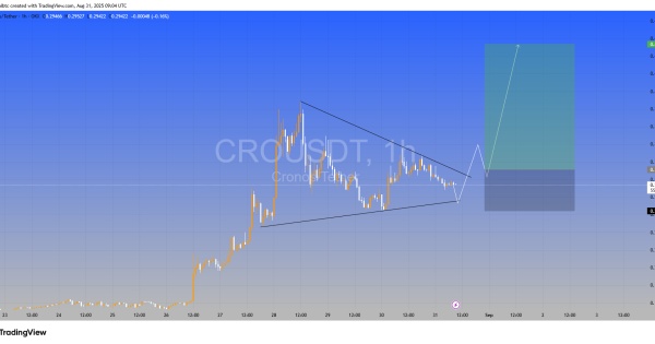 پرواز بعد از شکست