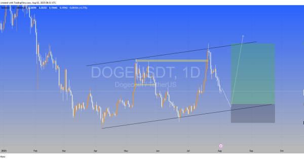 دوج کوین (DOGE)