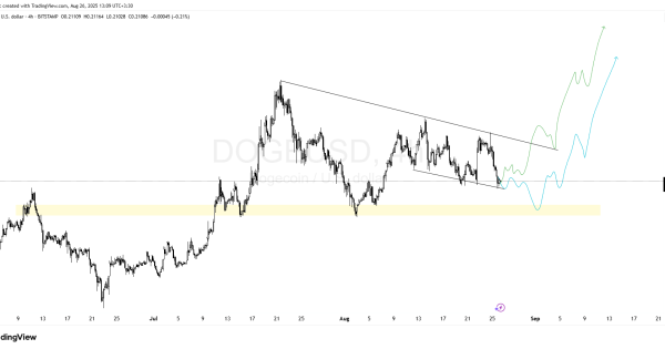 دوج کوین (DOGE)