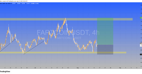 میم کوین وحشی