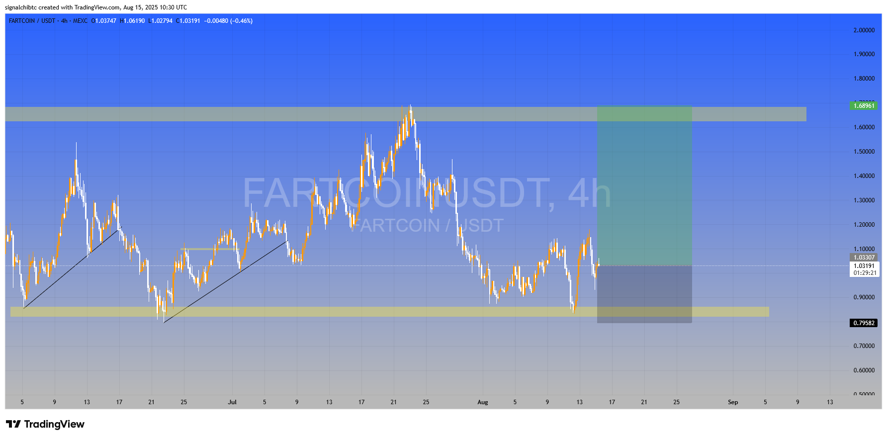 میم کوین وحشی