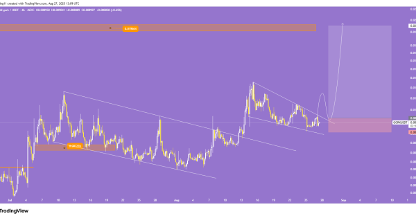 میم کوین پروازی