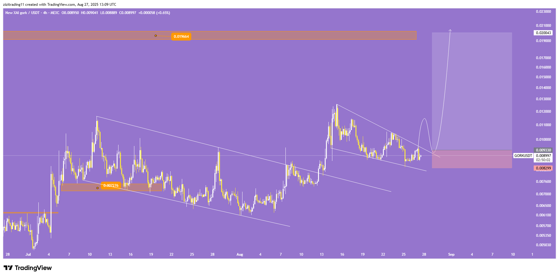 میم کوین پروازی
