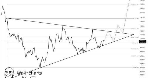 بهترین ارز برای خرید بلند مدت