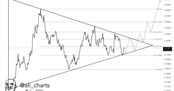 دوج کوین DOGE