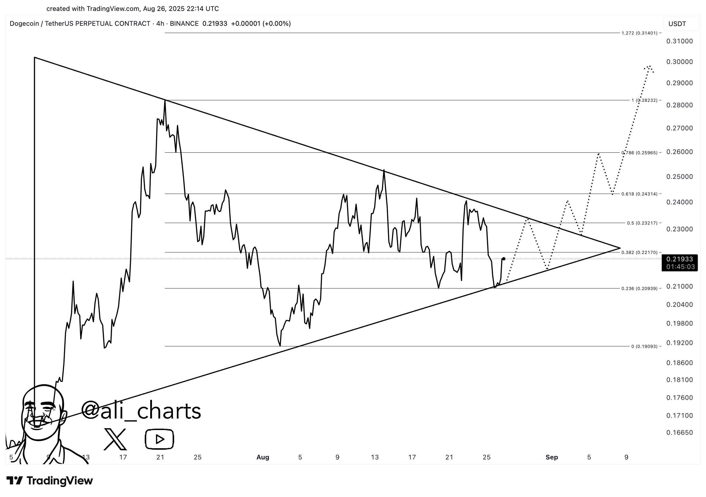 دوج کوین DOGE