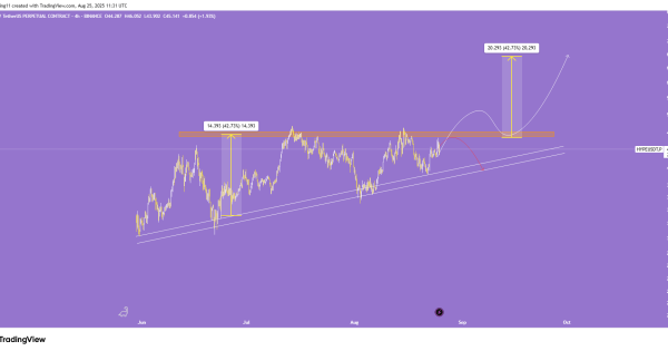 گزینه عالی برای خرید در ۲۰۲۵
