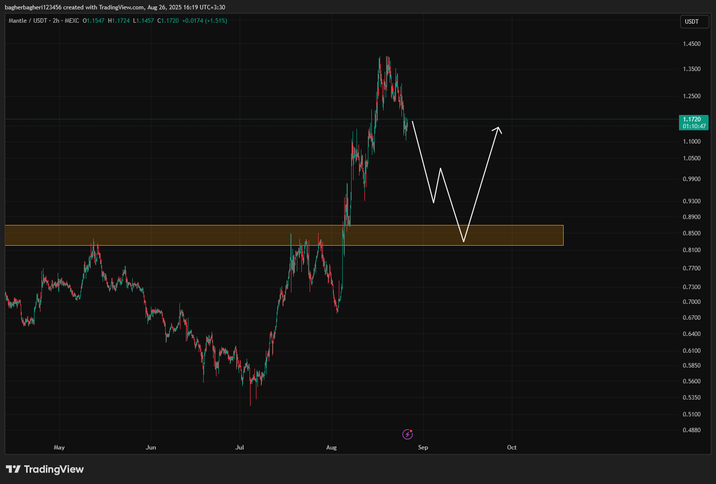 ورود درست یعنی سود تپل