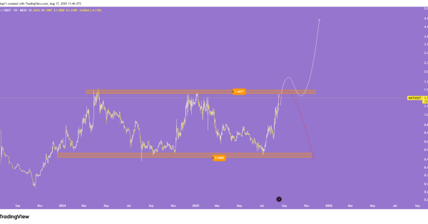 بهترین جای برای ورود