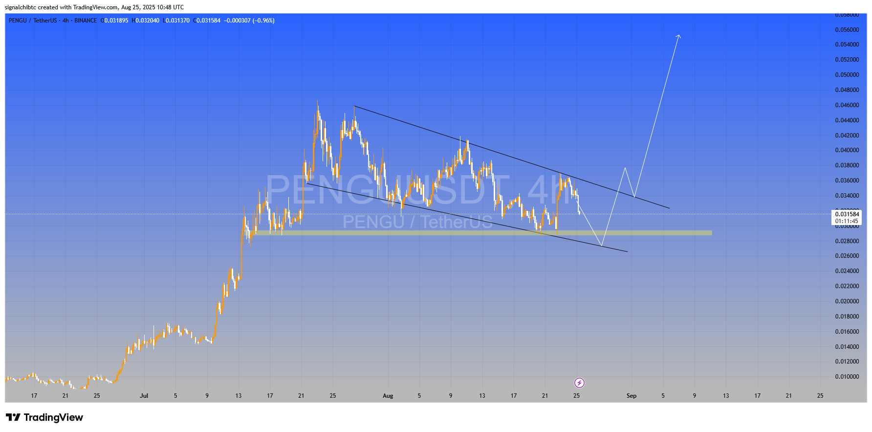 میم کوین جنجالی