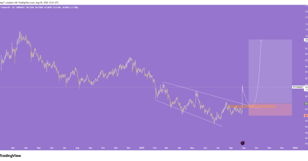 ورود به ارز پامپی