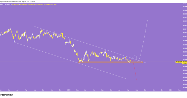 سناریو های میم کوین وحشی