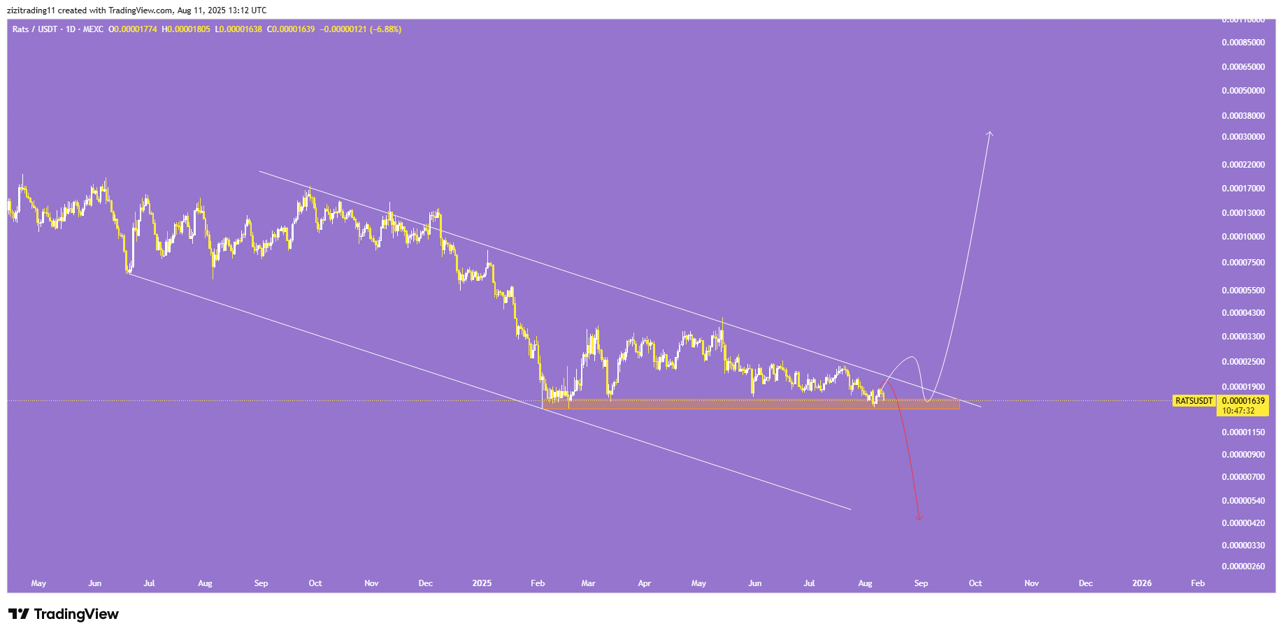 سناریو های میم کوین وحشی