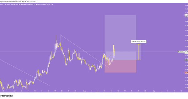 تارگت اول خورد