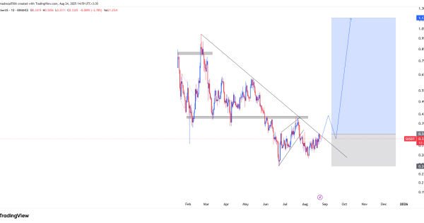 نشونه های از صعود دیده میشه