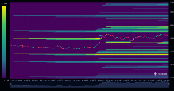 اوردر خرید نهنگ ها کجاست