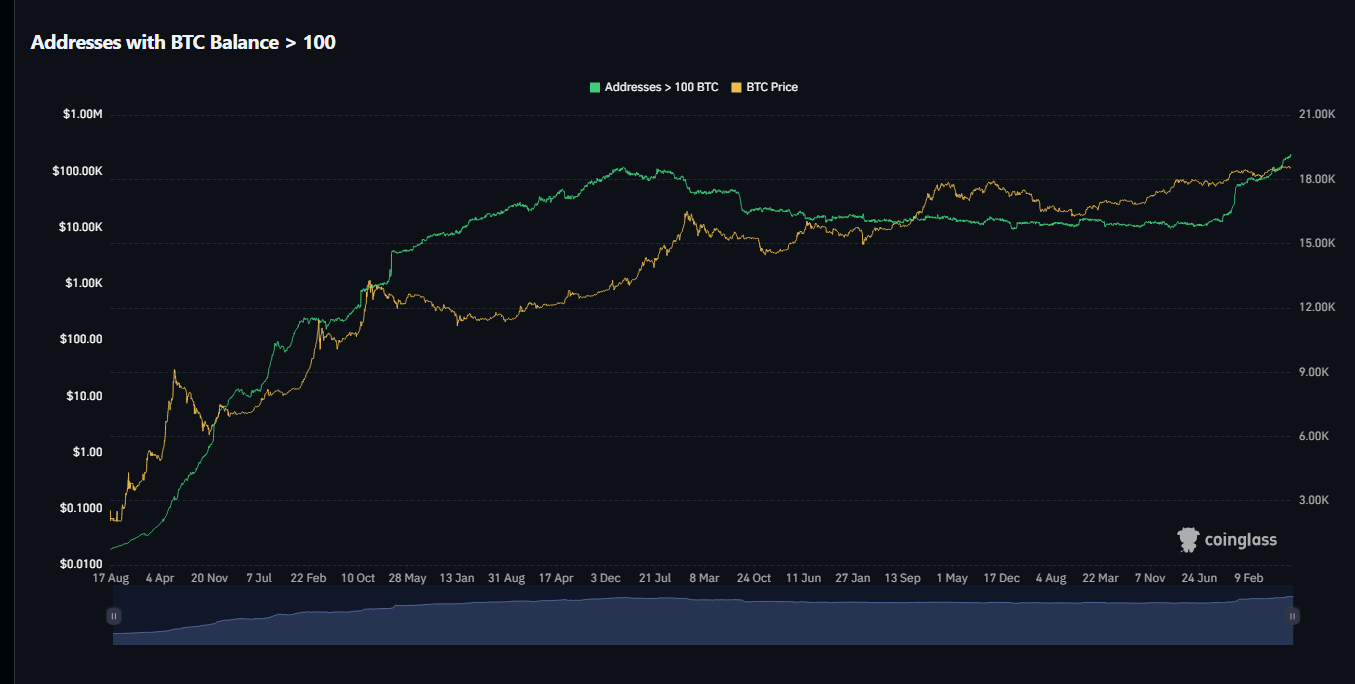 نهنگ ها در حال خریدن