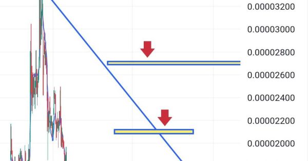 شیبا رشد ۱۰۰درصدی
