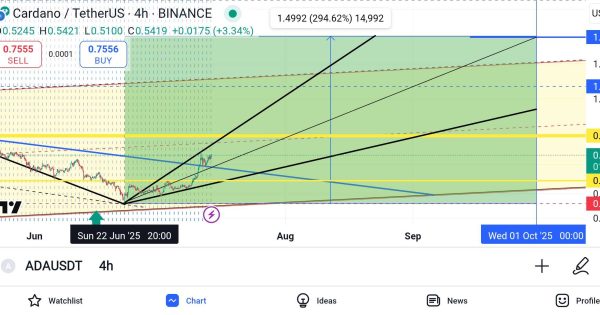 کاردانو خاص و جامانده در بازار کریپتو