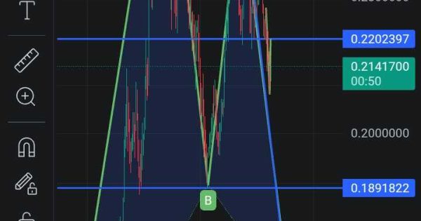 دوج کوین و ریزش ۳۱ درصدی