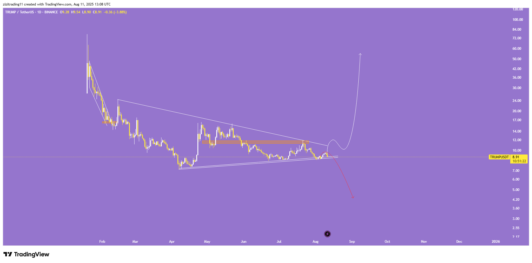 بهترین نقطه برای تصمیم گیری این میم کوین