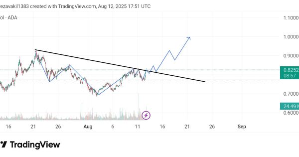 کاردانو ۱ دلار