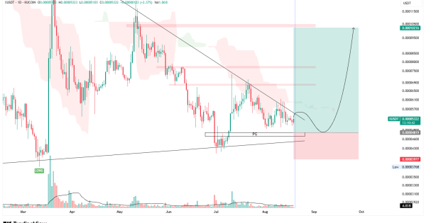 اصلاح زمانی ایکس امپایر رسیده!
