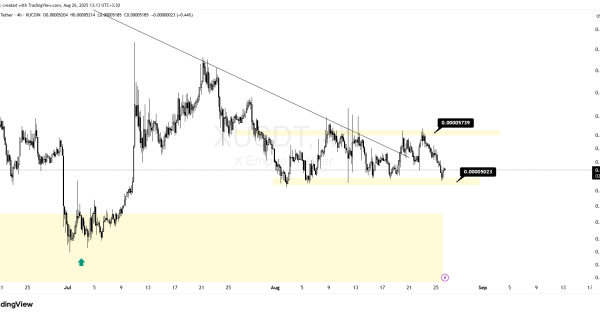 ایکس امپایر (X)
