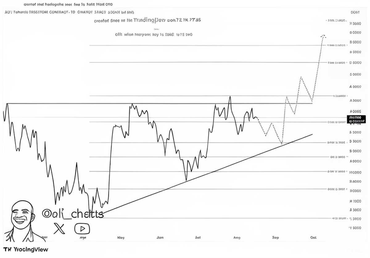 تحلیل جامع SUI