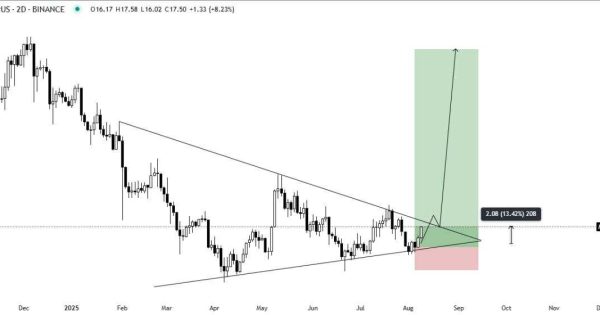 فرصت ورود مجدد هست