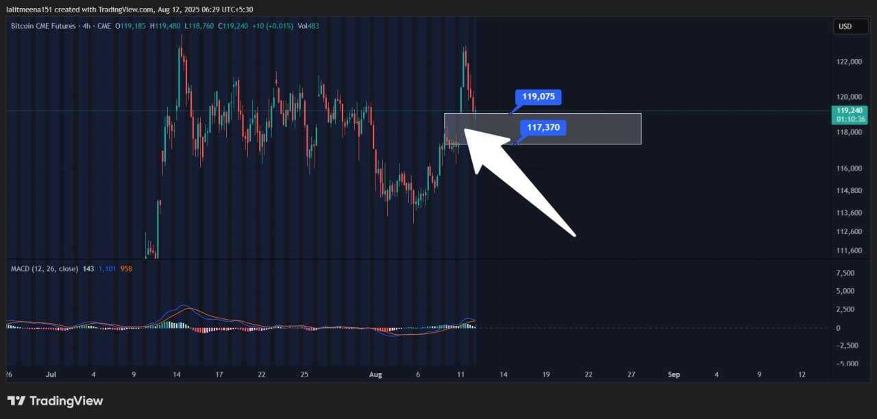 بیت آماده پرواز