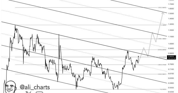 کاردانو (ADA)