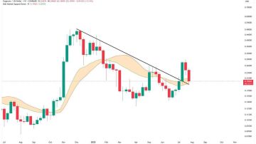 دوج کوین (DOGE)