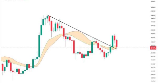 دوج کوین (DOGE)