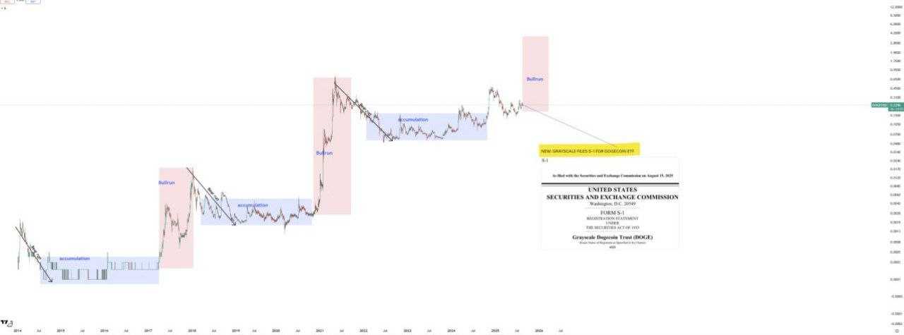 دوج کوین پرواز میکنه