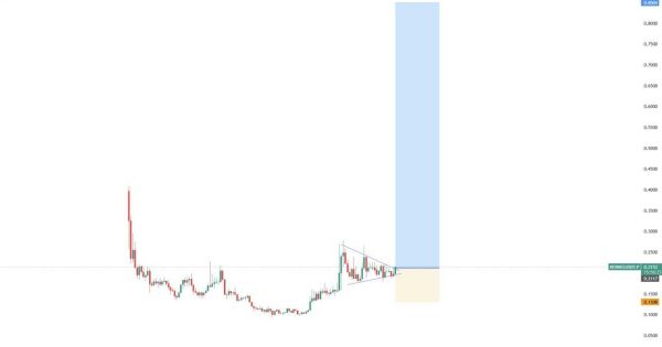 اماده رشد ۵۰۰ درصدی